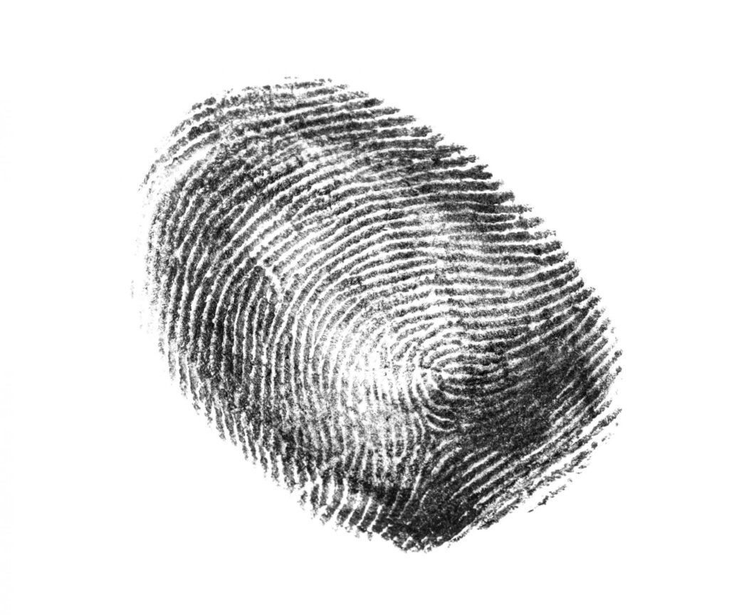 A dark fingerprint over a white background, representing how one can benefit from calling a Portland criminal defense lawyer.