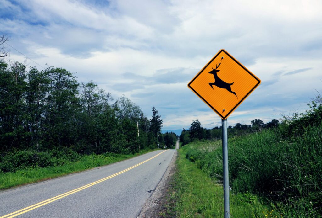 A road with many trees and a yellow deer crossing sign representing how one can benefit from calling a Portland criminal defense lawyer.