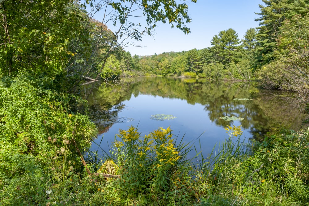 Cumberland Maine OUI Defense Lawyers